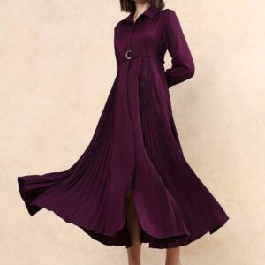 Women Pleated Fit & Flare Maxi Dress
